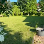 Zielone Zarabie