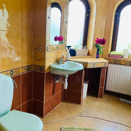 Zielone Zarabie מישלניצה