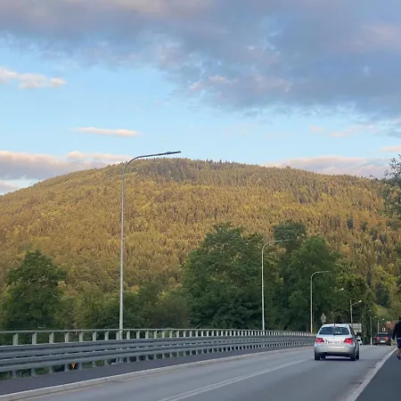 Zielone Zarabie