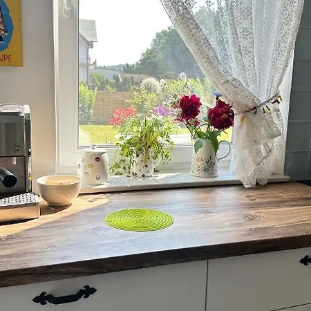 Zielone Zarabie מישלניצה